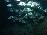 Pousada em Fernando de Noronha